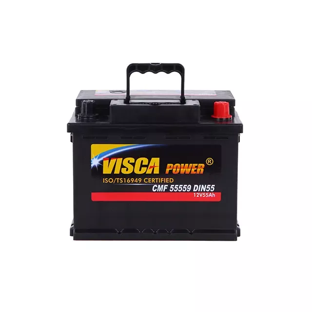 লিড-অ্যাসিড ব্যাটারির 4 প্রকার কী কী?